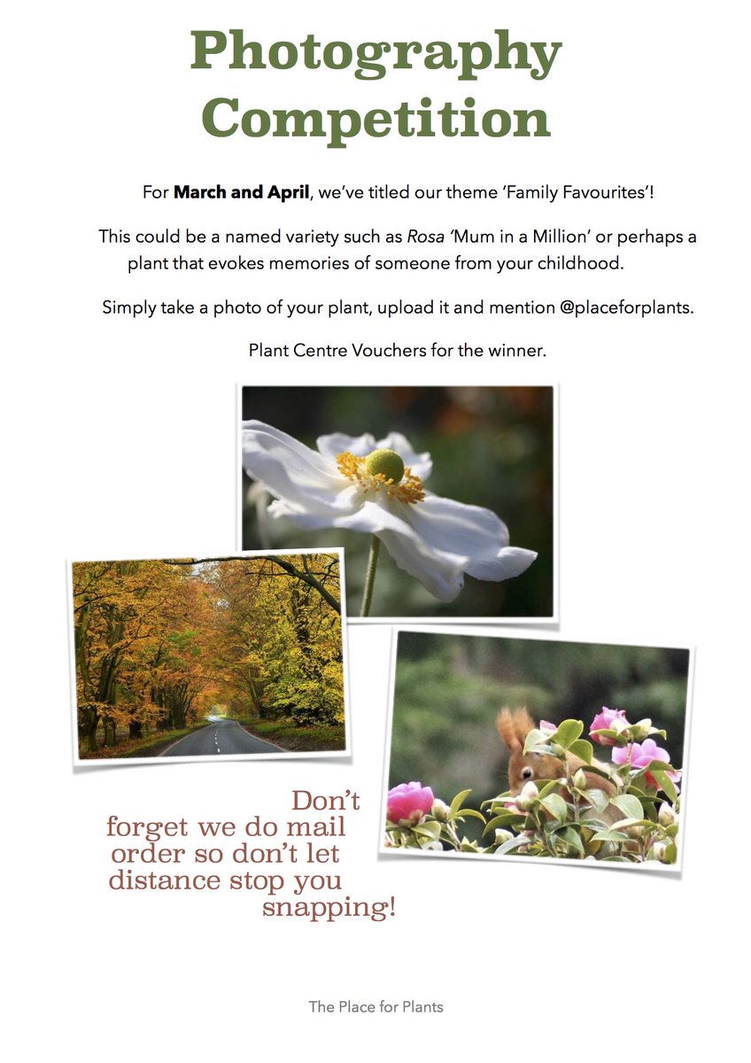 Get your entries in and you could win vouchers - mail order also an option! #suffolk #essex #plants #photocomp #theplaceforplants #suffolkgarden