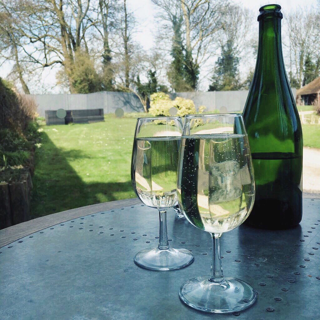 Wine tasting in the #spring #sunshine at the beautiful <a href="/MountVineyard/">The Mount Vineyard</a>....perfect! 😊🍾#winetasting #weekendfun