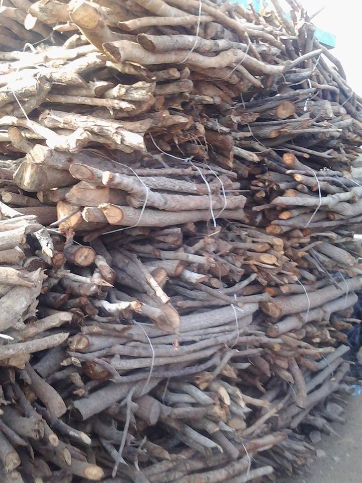 Abibi_Nsroma's tweet image. Wood and charcoal are burned, trees often disappear. Africa loses some 0.5% of its forests every year by IEA. #cookingshouldnotkill #climatechange #SDG7 #SDGs #HealthForAll #Energypoverty #BonnFiji  #FAO #Cookstoves #cleanenergy #SDG7AllEqual #cleanfuels #SEforALLorg #UHC