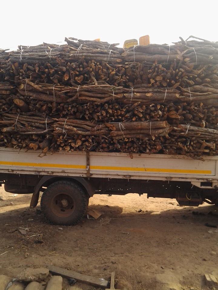 Abibi_Nsroma's tweet image. Wood and charcoal are burned, trees often disappear. Africa loses some 0.5% of its forests every year by IEA. #cookingshouldnotkill #climatechange #SDG7 #SDGs #HealthForAll #Energypoverty #BonnFiji  #FAO #Cookstoves #cleanenergy #SDG7AllEqual #cleanfuels #SEforALLorg #UHC
