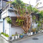 いや、こんな植木鉢あんの？w家から生えてるみたいにみえる植木鉢がすご過ぎw