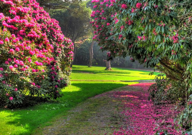 ILoveCornwallUK's tweet photo. Spring has Sprung! Check out our What's On page for the best things to do in April including outdoor theatre, garden openings, art exhibitions &amp; food festivals!
https://t.co/po4F2jrMlN https://t.co/xogis2nZu6