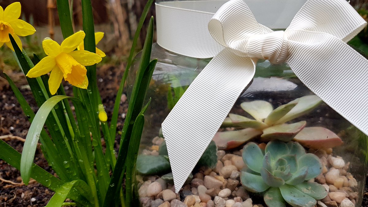 SmallByDesign tweet media