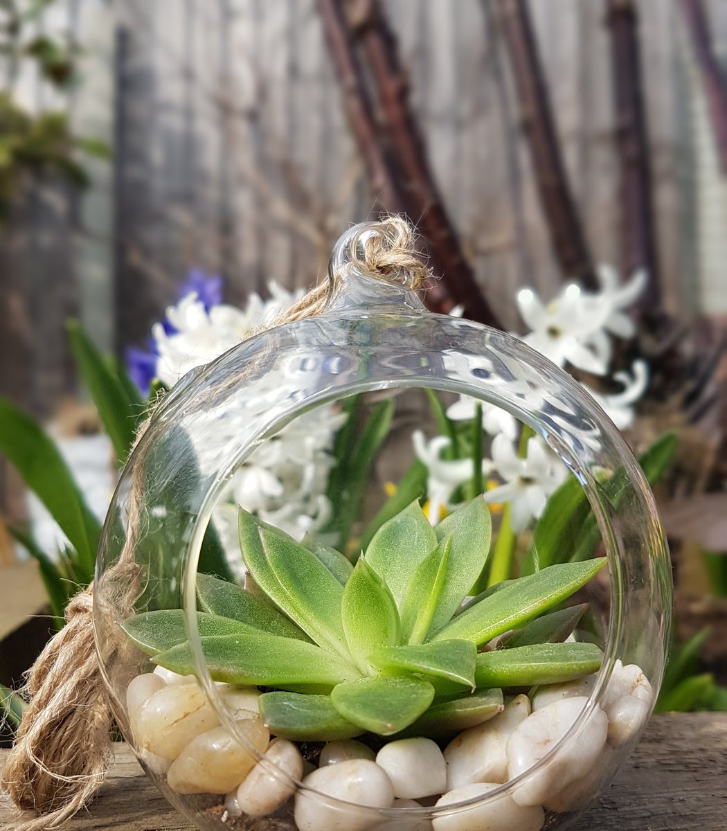 SmallByDesign tweet media