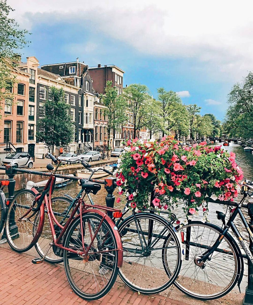 greetingsfr0m's tweet photo. 📍 Amsterdam, #Netherlands
📷 https://t.co/NcciqoSSR2 https://t.co/nYI5JoR8Ad