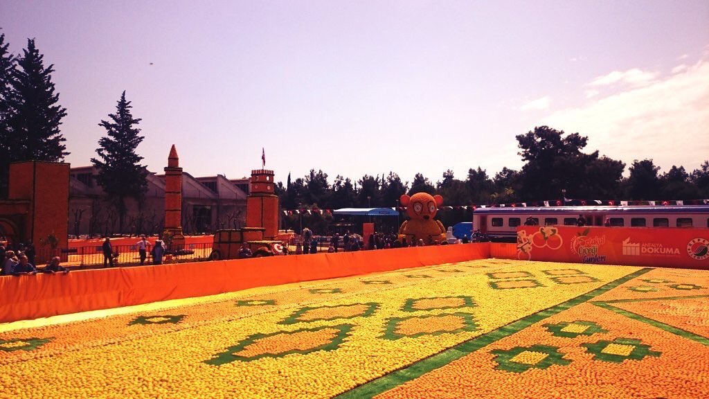 Antalya07_'s tweet photo. Dokuma park çok güzel,
Gelsene portakal var 
🍊🍊🍊🍊 https://t.co/amfnUNjoAo