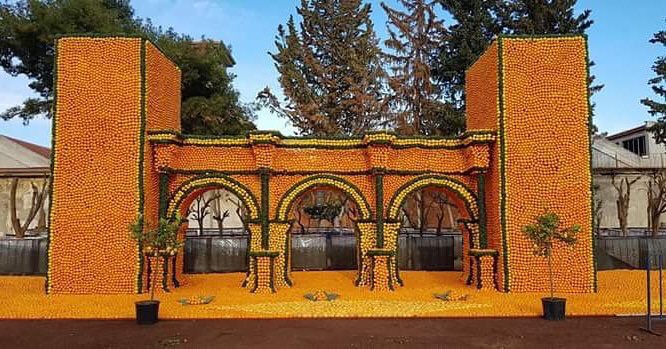 Antalya07_'s tweet photo. Dokuma park çok güzel,
Gelsene portakal var 
🍊🍊🍊🍊 https://t.co/amfnUNjoAo