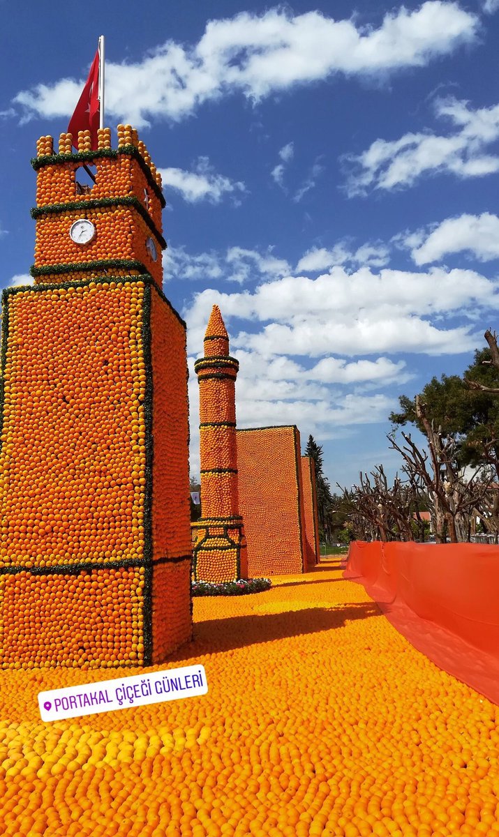 Antalya07_'s tweet photo. Dokuma park çok güzel,
Gelsene portakal var 
🍊🍊🍊🍊 https://t.co/amfnUNjoAo
