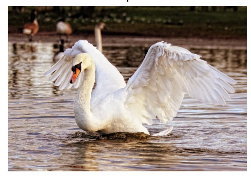 Next performance by #London #Playback #Theatre is Friday 20/04/ 2018 at Essex Church in Notting Hill Gate. Tickets: eventbrite.co.uk/e/grace-your-s…