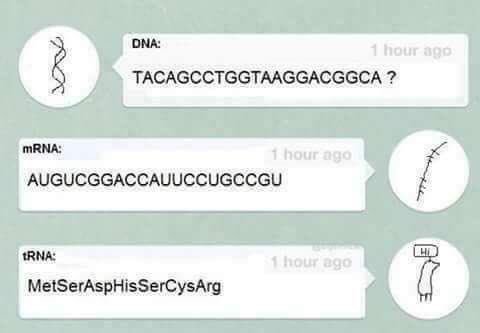 #science #biology