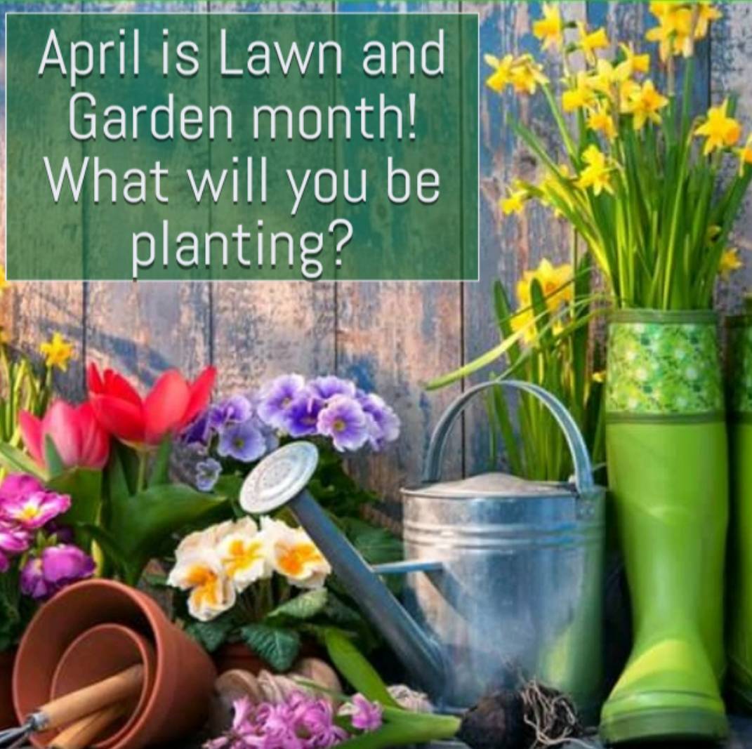 Karen's Floral (karensfloralexp) Twitter