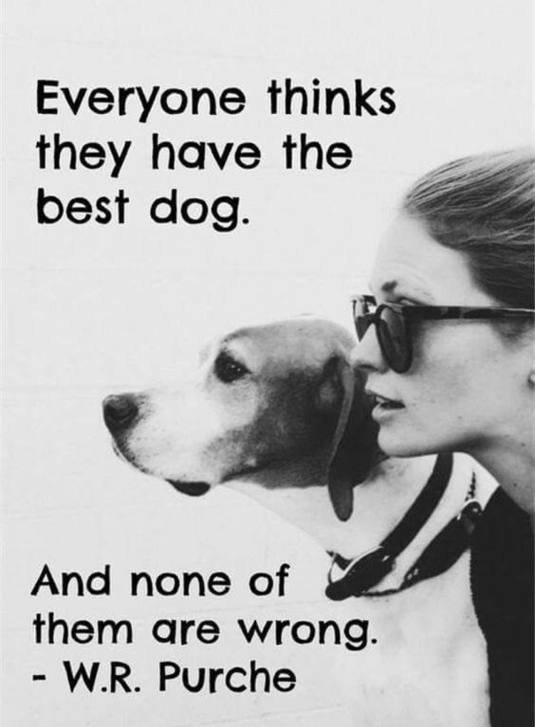 RespectfulMemes's tweet photo. https://t.co/EzEPqkBbbT