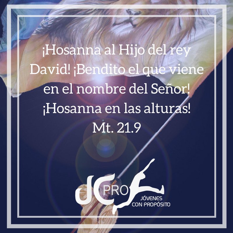 JCPRO_OFICIAL's tweet photo. https://t.co/Y9JWwQjyUa