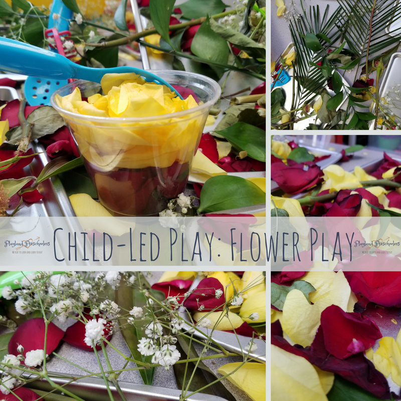playlandprek's tweet photo. We did this activity in February and I am finally getting around to writing about it! Come read about how we explored left-over Valentine's flowers! :) https://t.co/qftfIED6eo https://t.co/rCbjvQfTnn