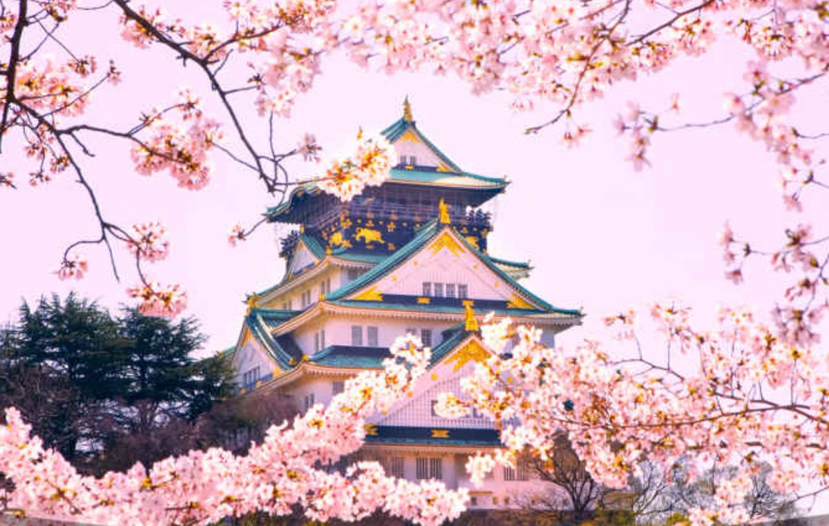 DayaniDominece's tweet photo. For those who love to travel and plan to explore Japan, please see this useful video for your reference and let me know your thoughts about it  :)   
https://t.co/TmRoDQ6bE5
#traveller #lakwatsaislife #enjoyingjapan https://t.co/BByOX82BsO
