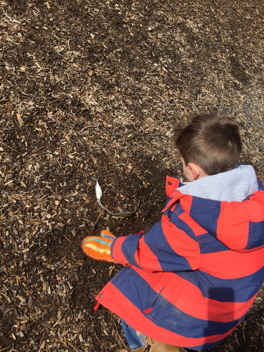 Northeast ES tweet media