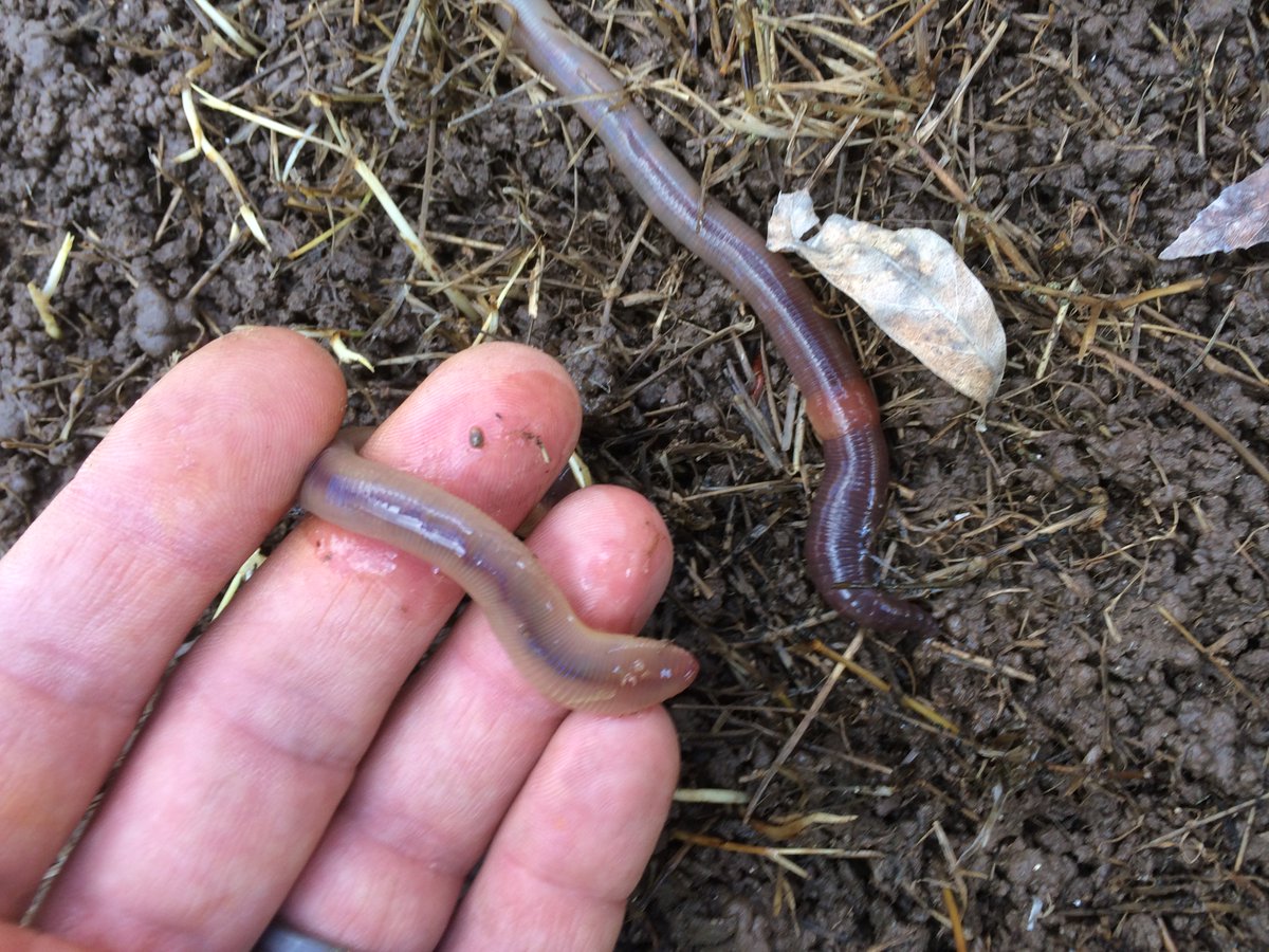 Sac4Life's tweet photo. Farms, Gardens and Nature Centers in the Sacramento, California Area
https://t.co/pCPgutWVU4 https://t.co/jEKVO5yeTs
