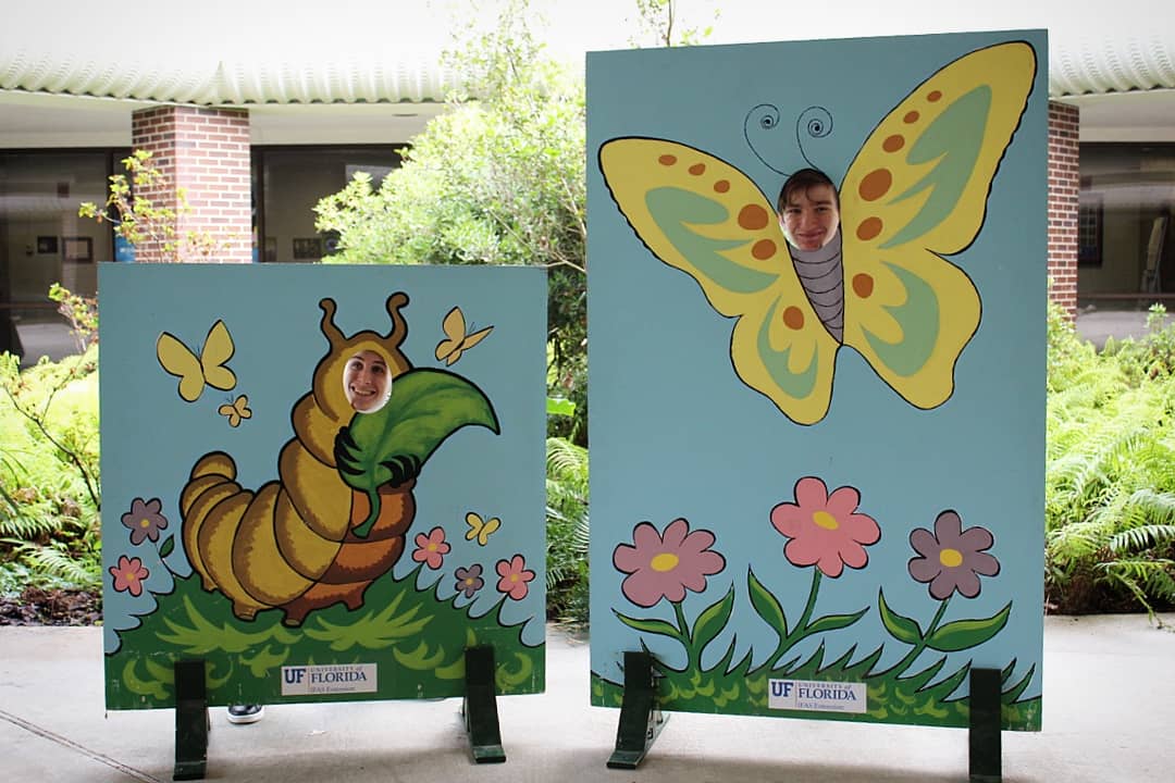 EntomologyClub's tweet photo. We're buggin' to meet you at BugFest today! #UFBugs #BugFest2018 #BugWeek https://t.co/oiELkMmGIW