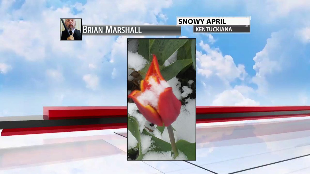 KatieMcGrawx's tweet photo. Brian's picture is today in a nutshell! #historicsnow #AprilSnow https://t.co/EzreiU0IUZ