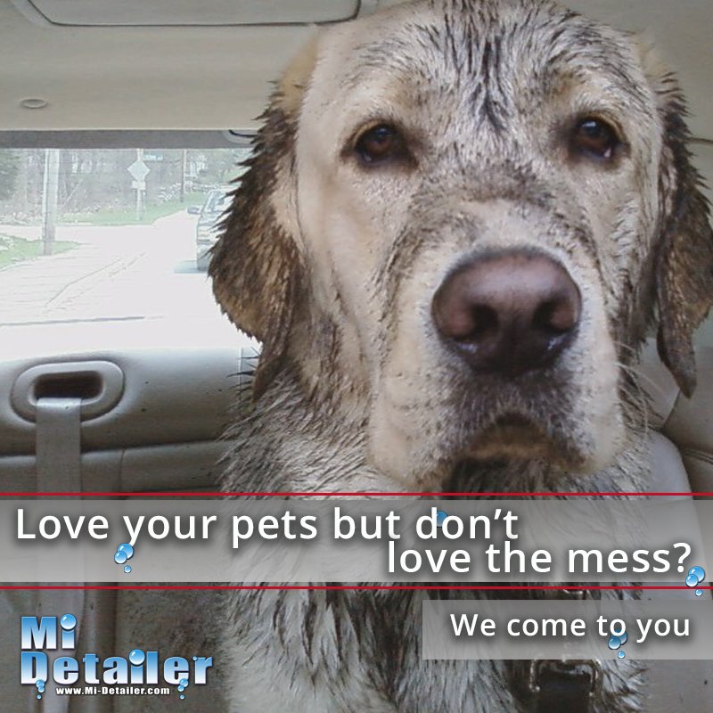 MiDetailer's tweet photo. Are you a pet parent? No one would guess after we detailed your car ;)

#Sarasota #Sarasotacars #Sarasotadetailing #midetailer #Sarasotaflorida #Sarasotalife #downtownsarasota #cardetailing #mobiledetailer #hotcars #cardetailingluxury #classiccars #Classiccarshow #classiccarworld https://t.co/i5FS1X9Ubu