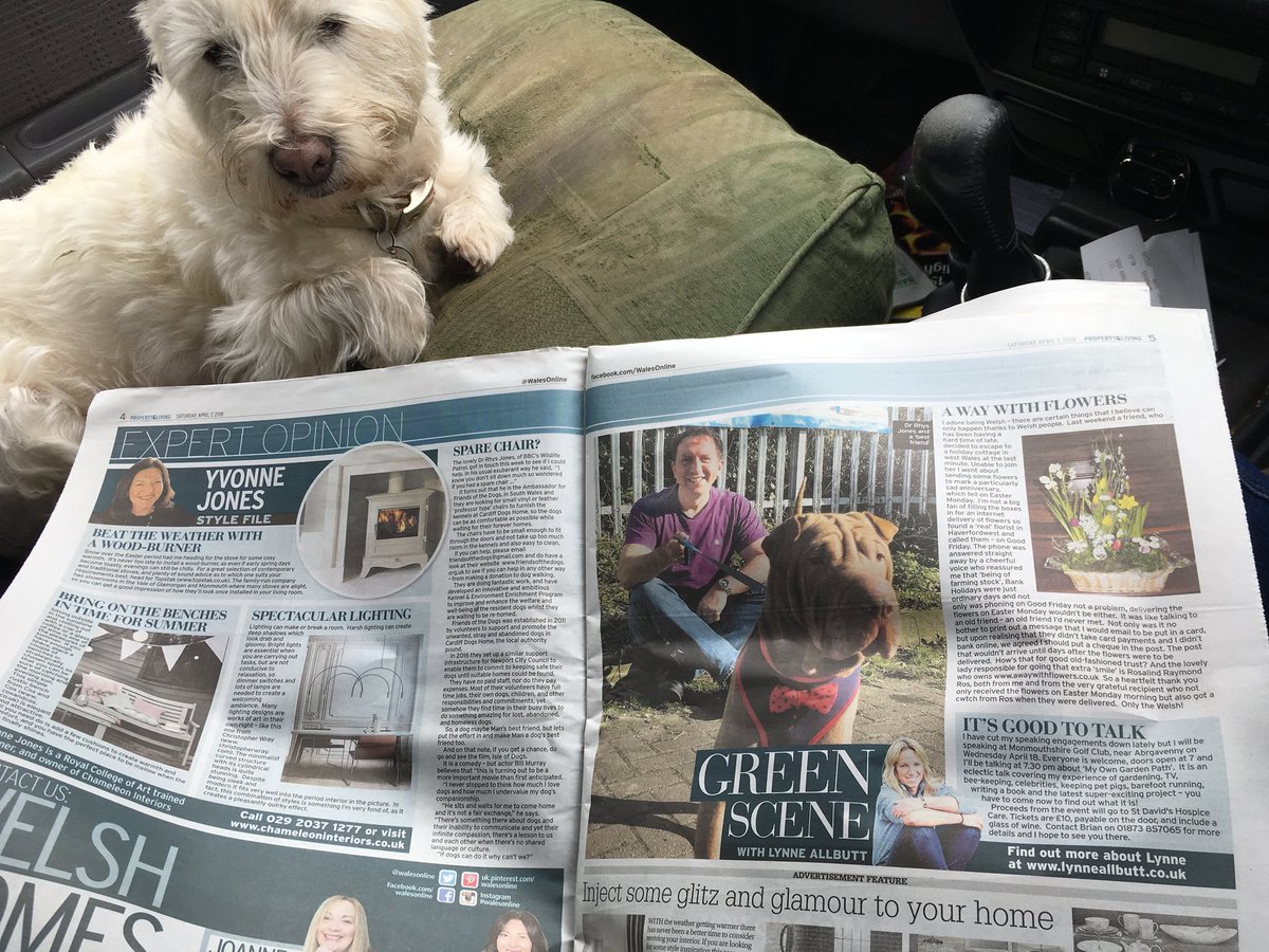 Dr Rhys Jones tweet media