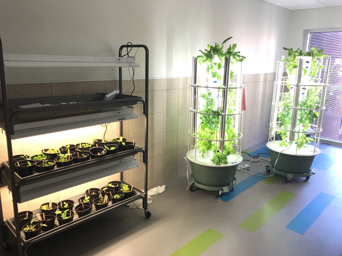 ben_dimond's tweet photo. What a great application of learning and a phenomenal team activity! I have loved watching these grow! Great job to the 6th grade teachers and students of House G! #SpudPride @HZNSpuds https://t.co/gjUdwGf17Z
