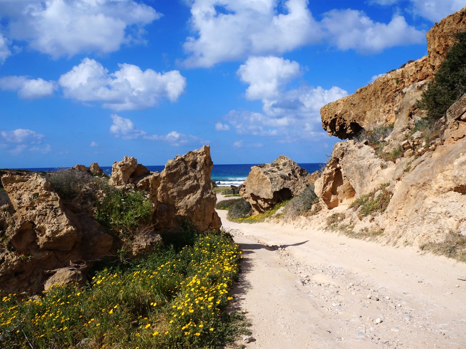 MIrecipes's tweet photo. If you're ever in Paphos and looking for a hike, Avakas Gorge is for you! https://t.co/Zf8TvpBr7S  #travel #cyprus #hikingadventures #lifestyle https://t.co/YVhZAjN8ZZ