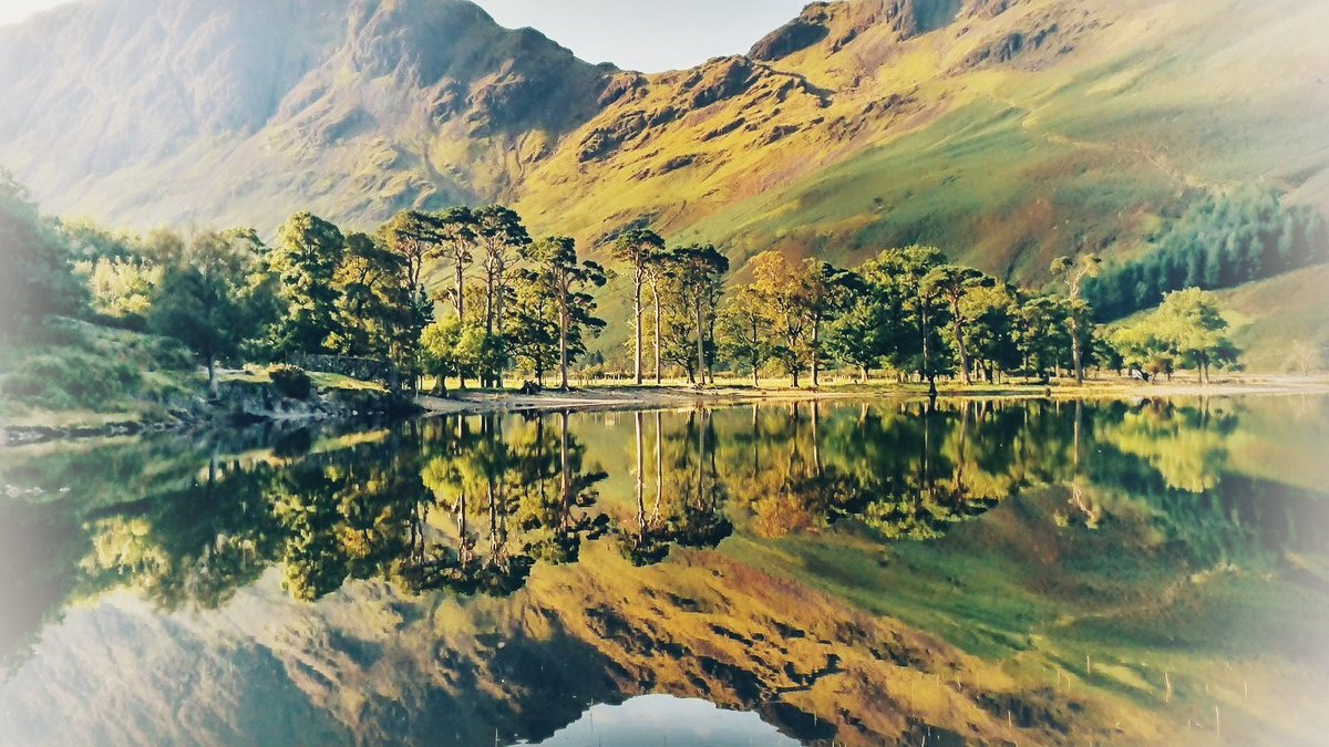 Chris Garner tweet media