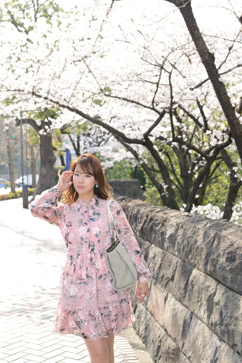 penta5diamond's tweet photo. #永田町
#国会図書館
#ゆきんこ
#YUKINA
#2018March https://t.co/LIfqzQmpcl