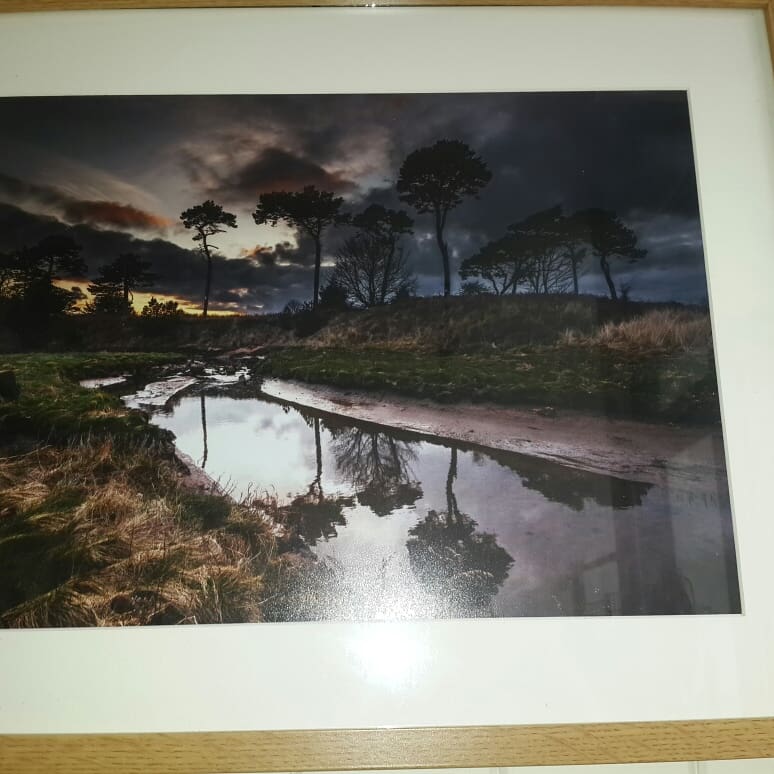 dunbarcraft's tweet photo. Martin has just brought in 2 beautiful new photographs. The first one is an infared shot and is stunning. The second one is a shot of Hederwwick Burn. #photography #trees #treesofinstagram #treesoffacebook #infared # dunbar #dunbarcraftstudio #eastlothian @ Dunbar Craft Studio https://t.co/EXt6sKKjDH