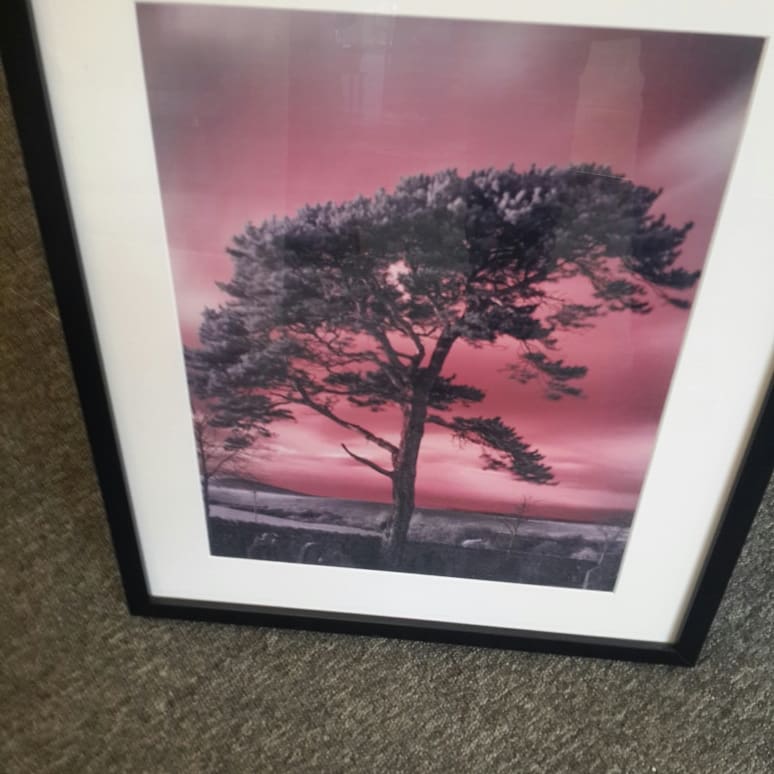 dunbarcraft's tweet photo. Martin has just brought in 2 beautiful new photographs. The first one is an infared shot and is stunning. The second one is a shot of Hederwwick Burn. #photography #trees #treesofinstagram #treesoffacebook #infared # dunbar #dunbarcraftstudio #eastlothian @ Dunbar Craft Studio https://t.co/EXt6sKKjDH