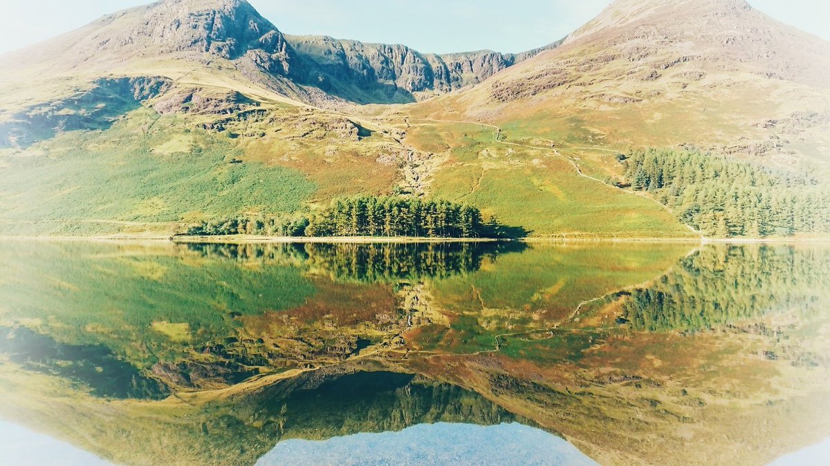 Chris Garner tweet media