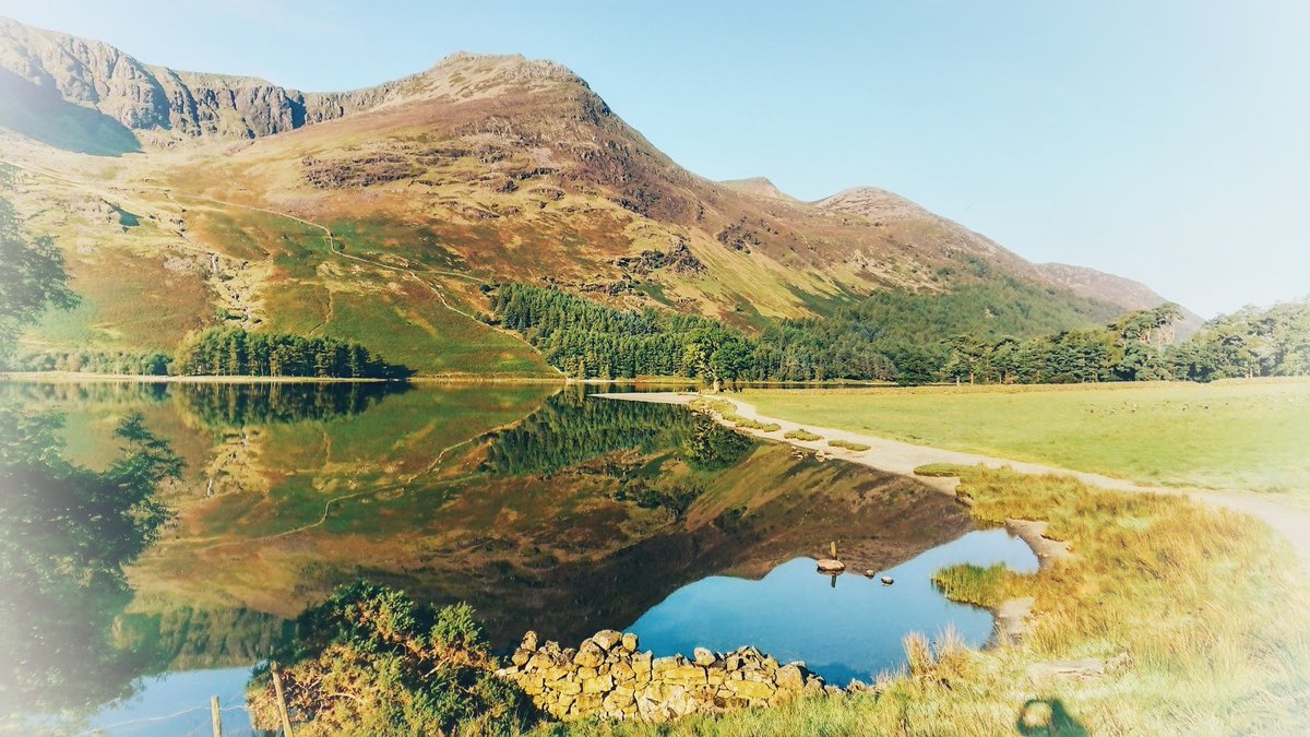 Chris Garner tweet media