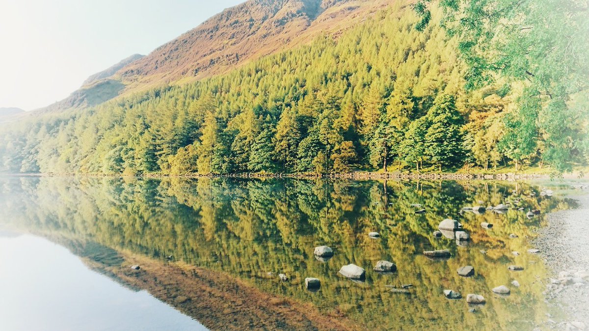 Chris Garner tweet media