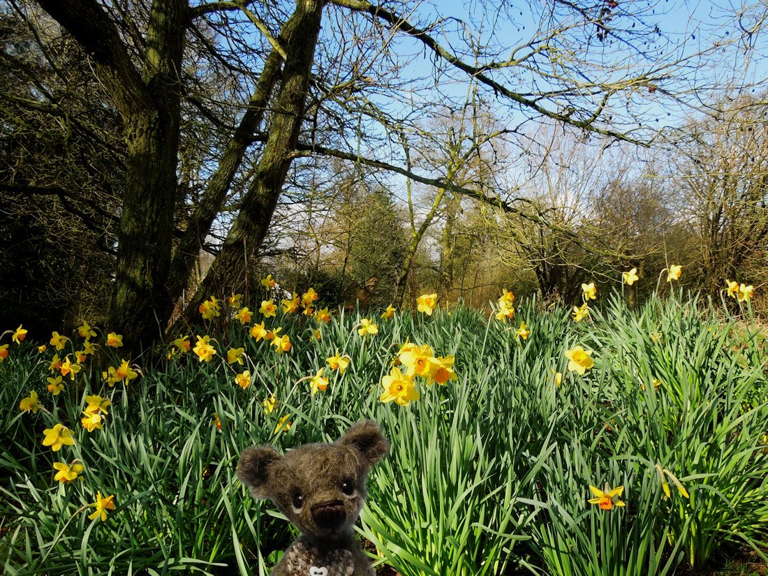 Harris Tweedy tweet media