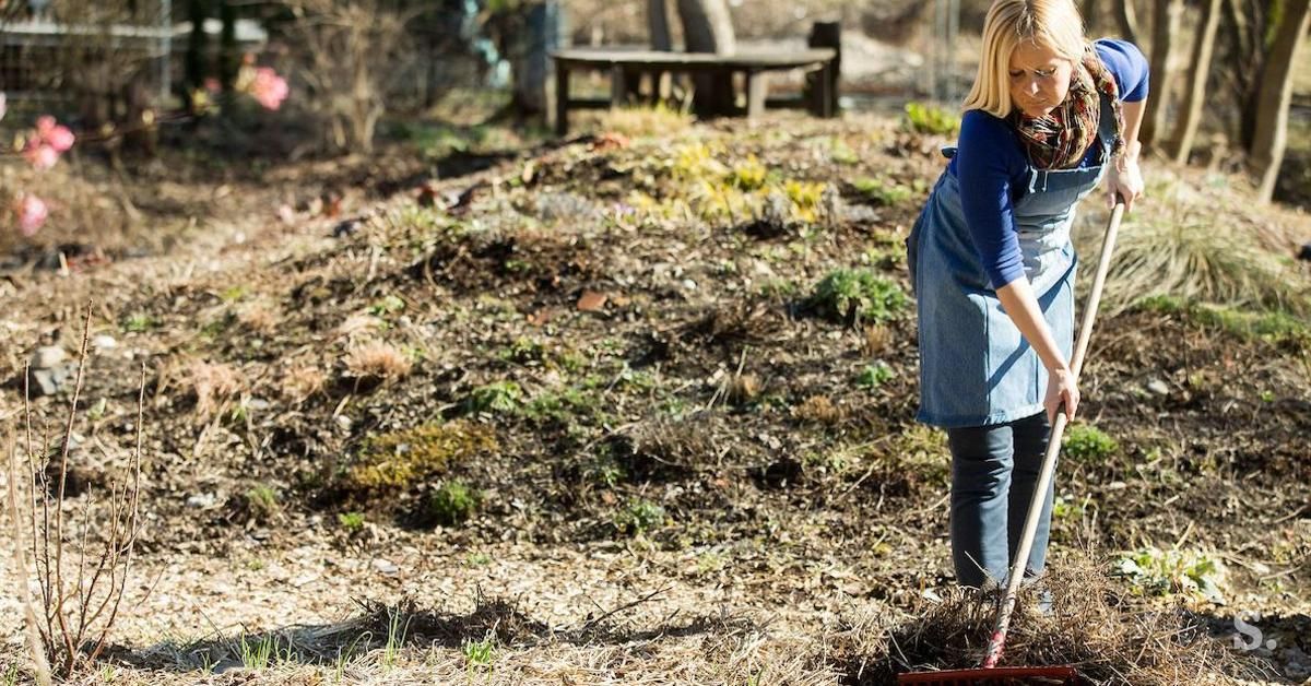 Obiskali smo agronomko, ki gredic ne prekopava, nima težav s plevelom in vrt tudi zaliva le poredko: bit.ly/2GEwR7B  <a href="/AnjaCiglaric/">AC</a>