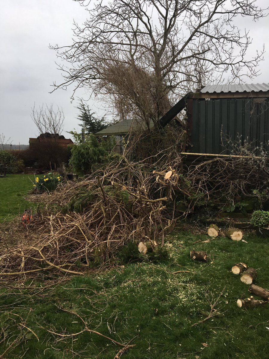 rattycastle's tweet photo. I am scared very scared #chainsaws #Gardens #farmer #renovations after the #storm π²π²π²#SaturdayMorningBuzz https://t.co/XwHDEzjwJy