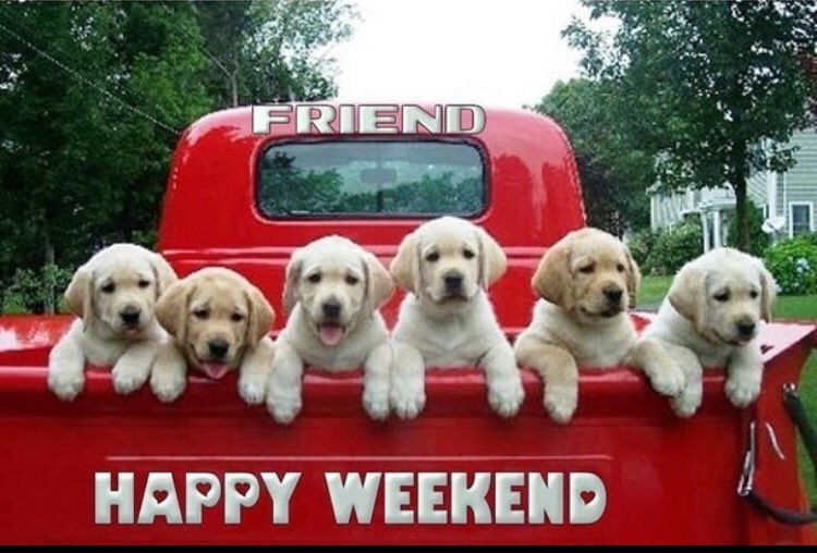 Happy weekend video