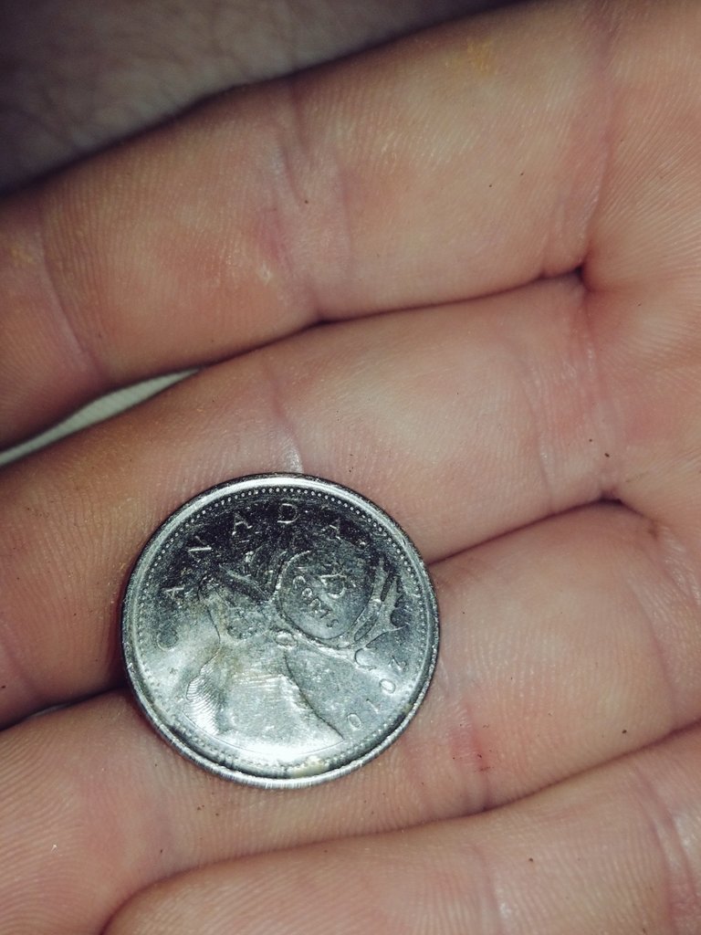 PinkBearSoup's tweet photo. i'm kinda new to coin collection, but i recently came into possession of this sweet 2010 Canadian 25 cent piece!!
#Score
#FuckYes
#ChaaChing
@SohnsTed @ArtIsMyPorn @Stakegirl @7h3M4ch1n3 @stankymcnuggets @wildwaterstu @M3anB3an247 @DickFurari @karatebulfightr https://t.co/4tDjUsY7ez
