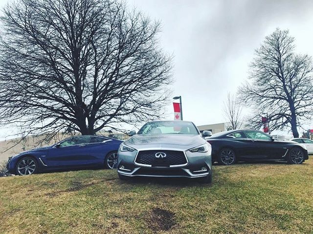 stojkovic_alex's tweet photo. A fabulous picture which was originally by @oakvilleinfiniti #MondayMotivation
.
.
.
.
.
#q60 #oakvilleinfiniti #infinitifan #loveyourinfiniti #japanese #oakville #toronto #mississauga #teaminfiniti #infinitiowner #dreamcar #empowerthedrive #infinitifami… https://t.co/1QihV4BLVq https://t.co/OOtt4r68Or