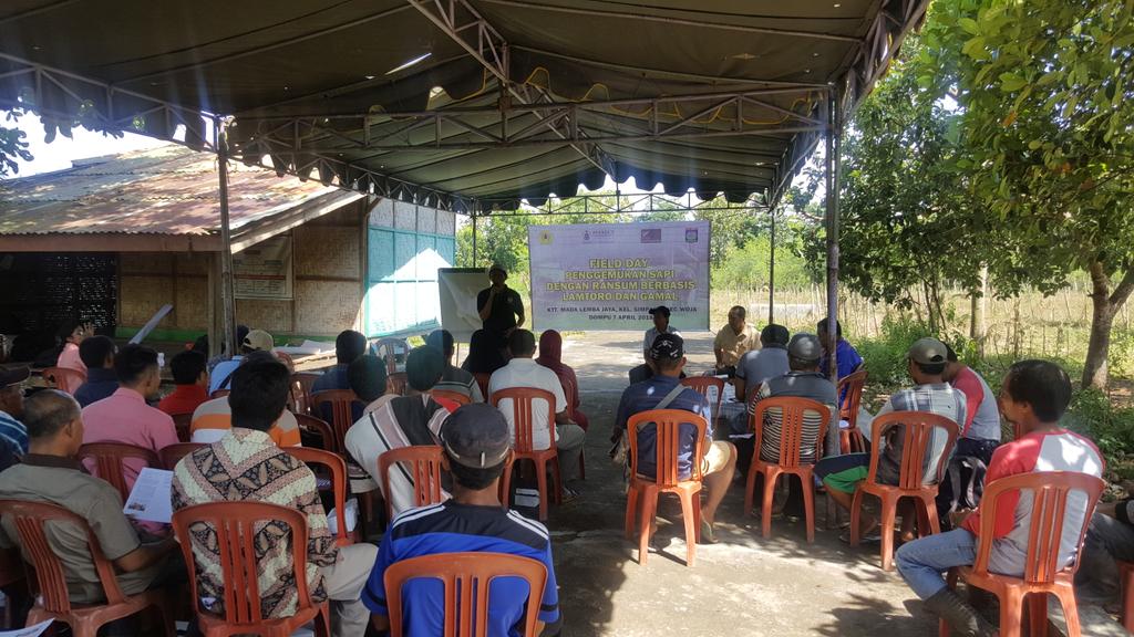 DahlanUNRAM's tweet photo. #NTBAgribusiness IFSCA farmer field day in Dompu to communicate cattle fattening based on tree legumes. Local authorities participated to respond to questions and discuss solutions https://t.co/3gIVJep0vO