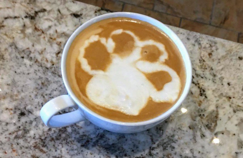 UNI_Admissions's tweet photo. Rise and shine! This #latteart has our 💜, and we're "paws"itive that today's going to be another great day to #DiscoverUNI. 

This @northerniowa coffee creation was whipped up by a local 15-year-old #futureUNIpanther. Or, did @TCPanther have a "hand" in making it? https://t.co/jf3RQTuLc3