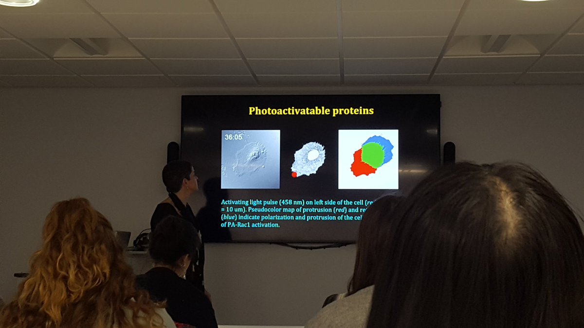 barbieri_lili's tweet photo. Local activation? Yes you can using #photoactivatable proteins! Maddy Parson at the #EMBOMicroPlym2018. Live cells #imaging lecture in #Plymouth https://t.co/xoi0OyVPoq