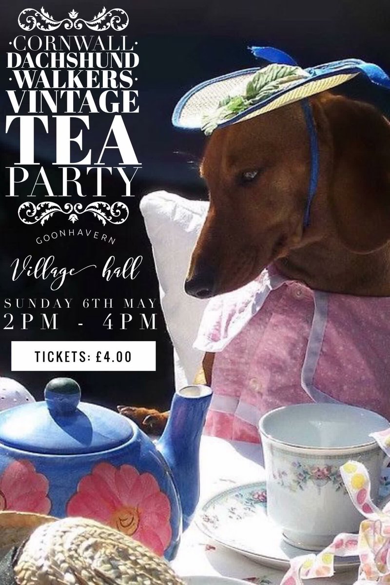 DachshundsSW's tweet photo. Cornwall Dachshund Walkers #Vintage #TeaParty 
Sunday 6th May at #Goonhaven Village Hall at 2pm till 4pm
Come &amp; join in the fun a chance to dress up in those #dickiebows and #pearls
Tickets are limited to the first 40 people cost £4pp - Raising money for #dogs with #IVDD https://t.co/KtaZURBq1h