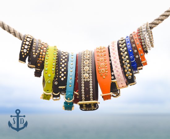 DachshundsSW's tweet photo. I have a raffle on #FB for one of these beautiful #italian #leather #dog #collars with #gold studs from #SaltyDogBoutique. I have 6 numbers left, £5 #donation. Please add me if you’d like to enter https://t.co/0xnD2XhmZo @dedicated2dachs @HHYSTD @dogfriendlyinfo @dogfriendlyto https://t.co/M6DPPgWoFH