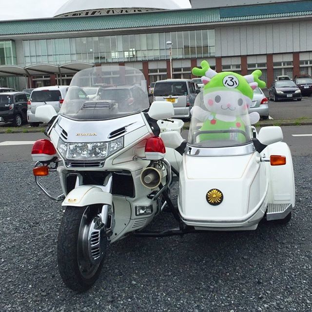 ふっかちゃん on X: 