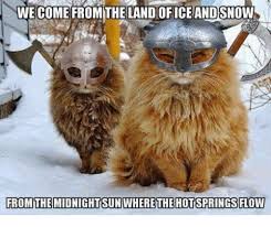 WeDoWallpaper's tweet photo. Here's hoping we see a bit of the sun this weekend for some #saturdayshannanigans! Been feeling a bit like this lately!? 😂 😂 #spring #ledzeppelin #thorragnarok #wedowallpaper https://t.co/f5jsLWl5Xj