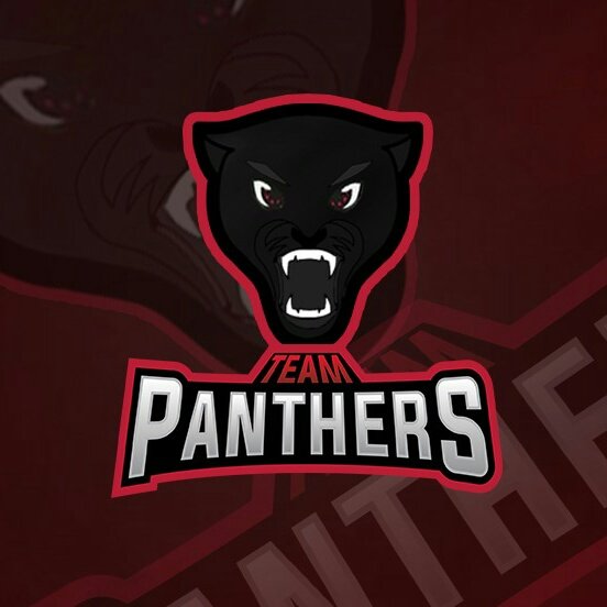 Liga_Relampago's tweet photo. Y el ultimo equipo de este segundo grupo!!

Ellos son @Panthers_TeamCR y vienen pisando fuerte!!
8/8 https://t.co/7l3Dl4ax6Q