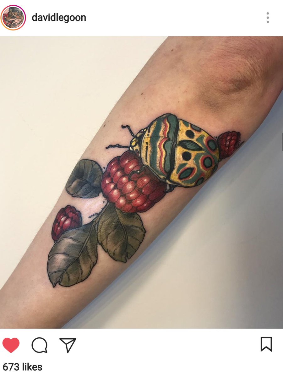 petercoffey's tweet photo. Ahhhhhh! Yes! Finally some Pentatomoid ink! The lovely Sphaerocoris annulus by @davidlegoon https://t.co/YsaHvIw64d #inkbug https://t.co/se342JPPsh
