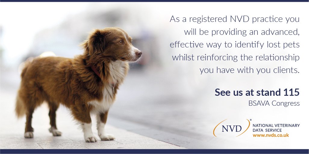 NVDonline's tweet photo. Having instant access to the right contact information is vital for pet reunification. Find out how to become an authorised practice. See us at stand 115 at #BSAVA18 

https://t.co/avLjSrf6gT https://t.co/NlMSNEBNVR